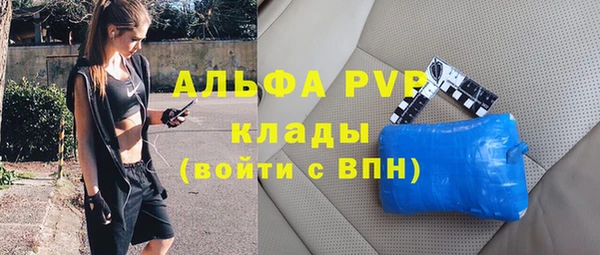 гашик Богданович